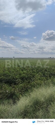 Satılır  torpaq 257 sot, photo 3 from 31