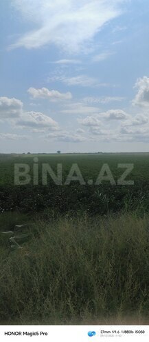 Satılır  torpaq 257 sot, photo 17 from 31