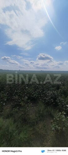 Satılır  torpaq 257 sot, photo 9 from 31