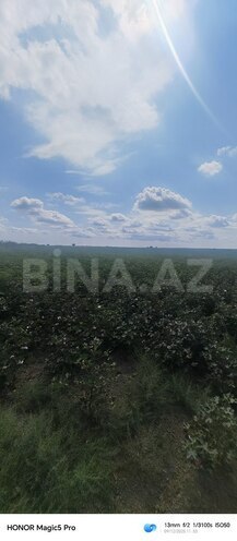 Satılır  torpaq 257 sot, photo 10 from 31