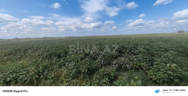 Satılır  torpaq 257 sot, photo 24 from 31