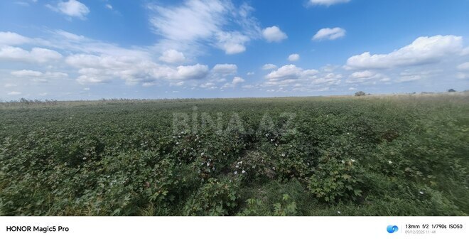 Satılır  torpaq 257 sot, photo 27 from 31