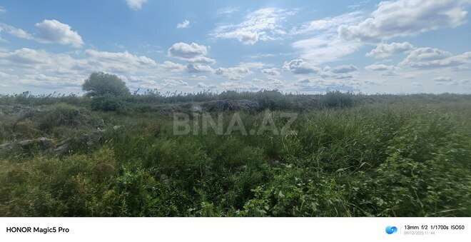 Satılır  torpaq 257 sot, photo 23 from 31