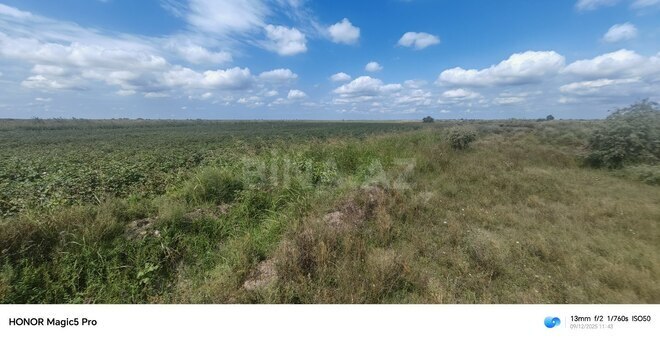 Satılır  torpaq 257 sot, photo 28 from 31