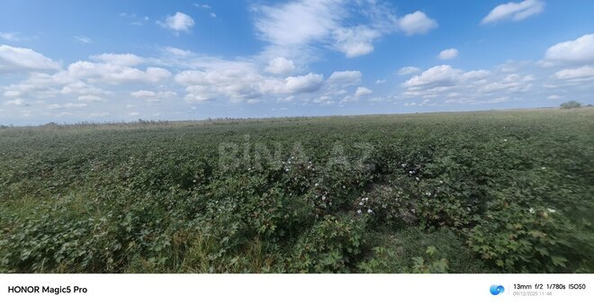 Satılır  torpaq 257 sot, photo 25 from 31