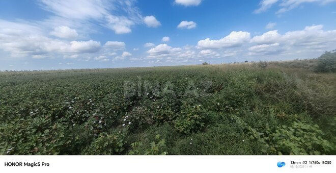 Satılır  torpaq 257 sot, photo 26 from 31