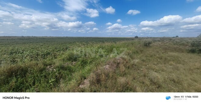 Satılır  torpaq 257 sot, photo 29 from 31