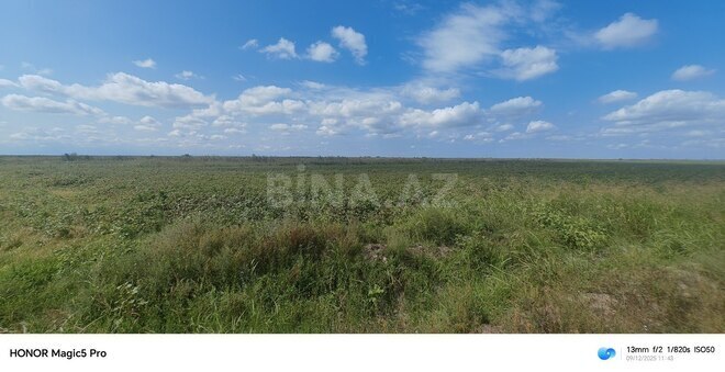 Satılır  torpaq 257 sot, photo 30 from 31