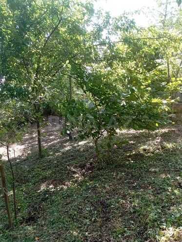 Satılır 3 otaqlı həyət evi/bağ evi 70 m², photo 9 from 10