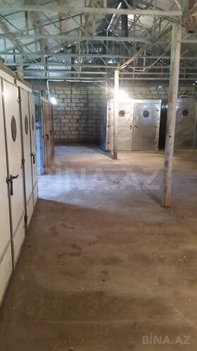 Satılır  obyekt 3 600 m², photo 5 from 21