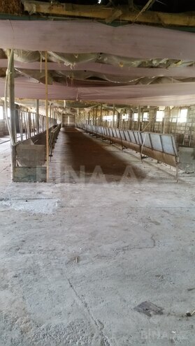 Satılır  obyekt 3 600 m², photo 6 from 21