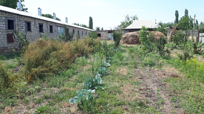 Satılır  obyekt 3 600 m², photo 8 from 21