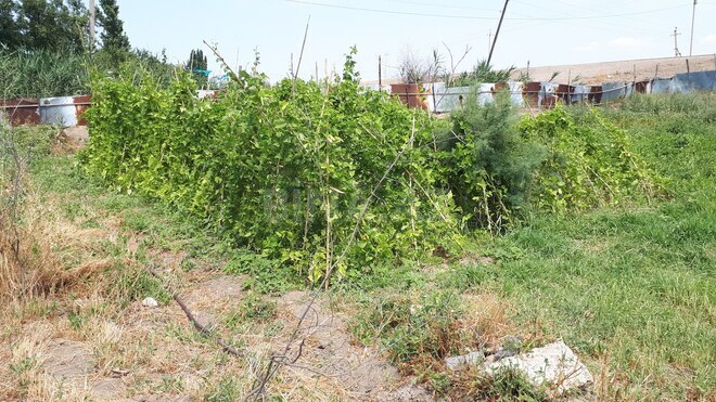 Satılır  obyekt 3 600 m², photo 9 from 21