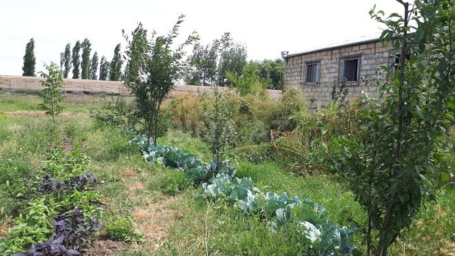 Satılır  obyekt 3 600 m², photo 11 from 21