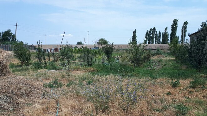 Satılır  obyekt 3 600 m², photo 14 from 21