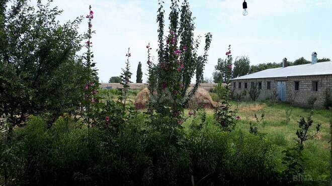 Satılır  obyekt 3 600 m², photo 16 from 21