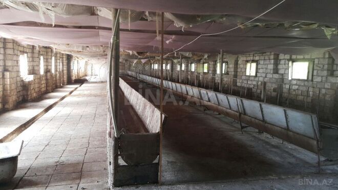 Satılır  obyekt 3 600 m², photo 20 from 21