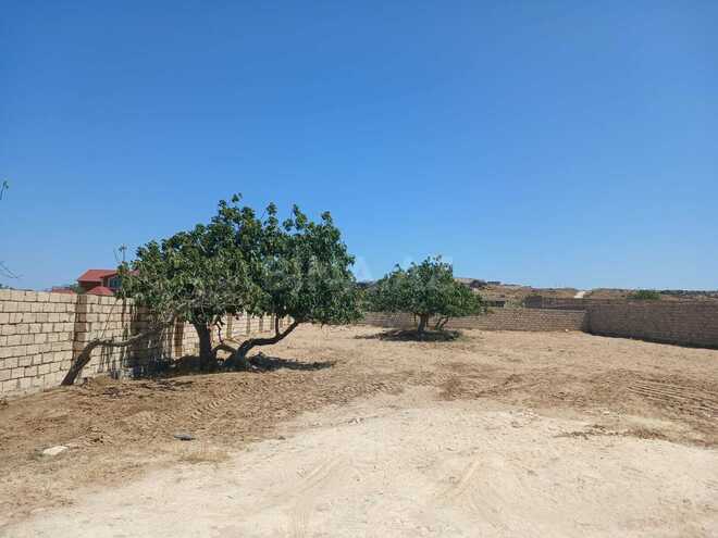 Satılır  torpaq 12 sot, Nardaran q., photo 3 from 4