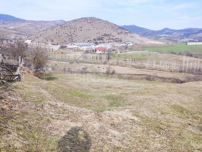 Satılır  torpaq 50 sot, photo 4 from 5