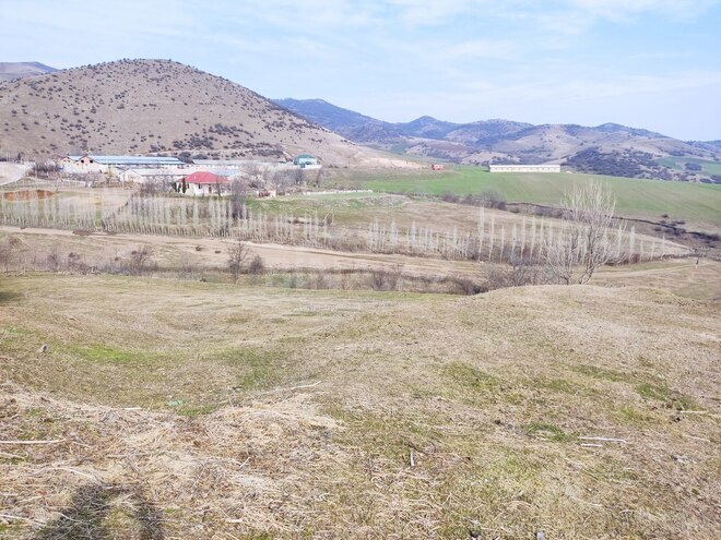 Satılır  torpaq 50 sot, photo 3 from 5