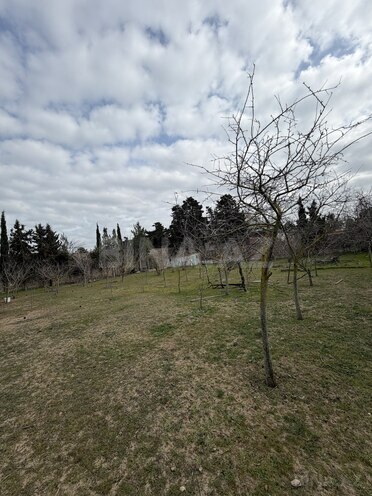 Продаётся  участок 22 сот, пос. Мардакан, photo 7 from 18