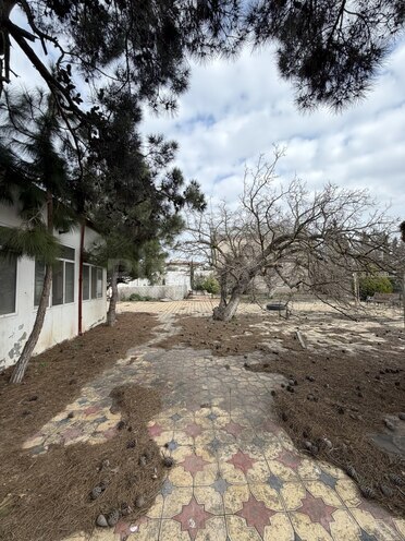 Продаётся  участок 22 сот, пос. Мардакан, photo 14 from 18