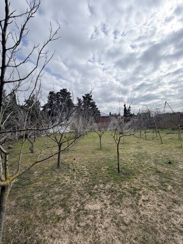 Продаётся  участок 22 сот, пос. Мардакан, photo 12 from 18