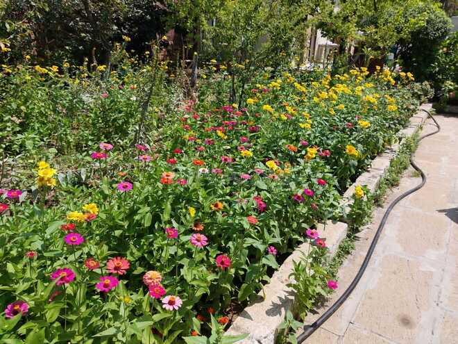 Продаётся 8-комн. дом/дача 200 м², пос. Новханы, photo 16 from 19