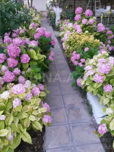 Продаётся 8-комн. дом/дача 200 м², пос. Новханы, photo 8 from 19