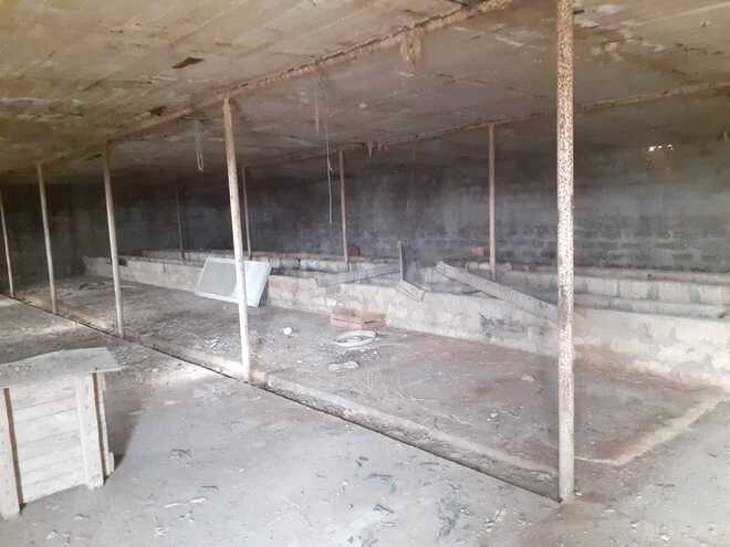 Продаётся  участок 200 сот, пос. Сахиль, photo 9 from 17