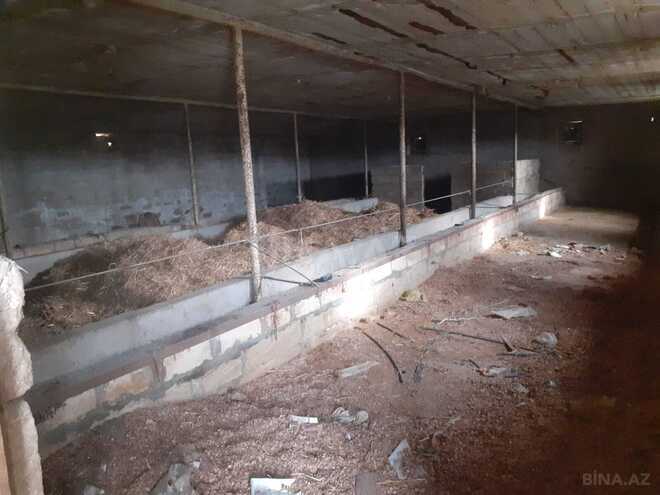 Продаётся  участок 200 сот, пос. Сахиль, photo 10 from 17