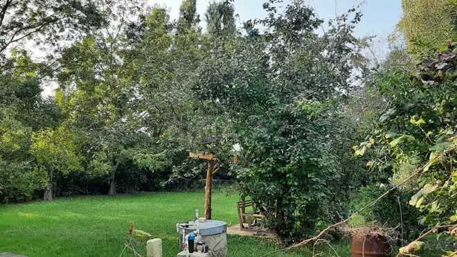 İcarəyə verilir 5 otaqlı həyət evi/bağ evi 120 m², photo 7 from 11