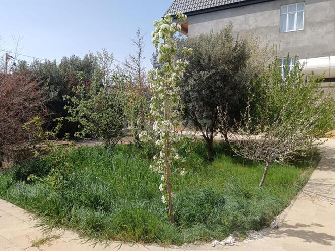 Satılır 8 otaqlı həyət evi/bağ evi 280 m², Badamdar q., photo 21 from 22