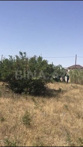 Satılır  torpaq 12 sot, Nardaran q., photo 4 from 7