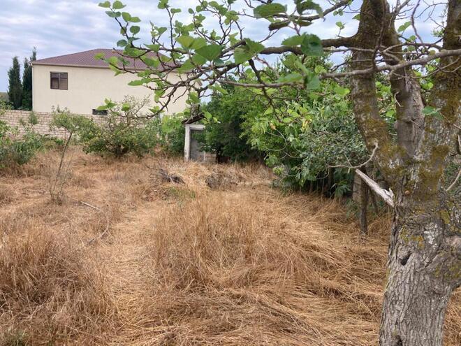 Satılır 2 otaqlı həyət evi/bağ evi 70 m², Albalılıq q., photo 8 from 20