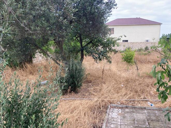 Satılır 2 otaqlı həyət evi/bağ evi 70 m², Albalılıq q., photo 7 from 20