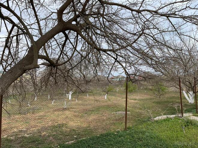 Satılır  torpaq 17 sot, Zığ q., photo 5 from 6