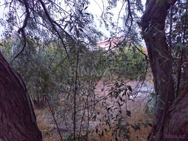 Продаётся 4-комн. дом/дача 156 м², пос. Тюркан, photo 9 from 13