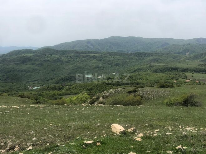 Satılır  torpaq 90 sot, photo 6 from 21