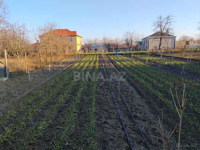 Продаётся  участок 8 сот, photo 6 from 8