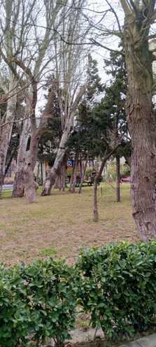 Продаётся 4-комн. новостройка 147 м², м. Нариман Нариманов, photo 5 from 19