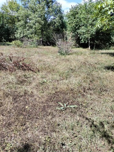 Продаётся  участок 20 сот, photo 3 from 6