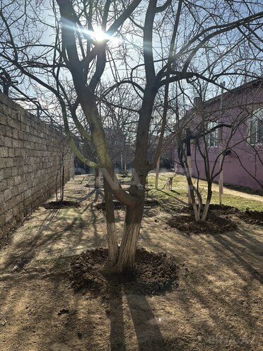 Продаётся 3-комн. дом/дача 100 м², пос. Ени Сураханы, photo 6 from 15