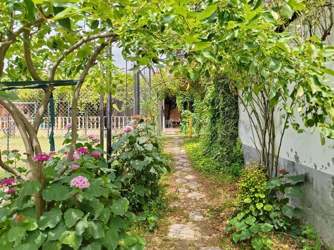 Сдаётся 6-комн. дом/дача 200 м², photo 16 from 32