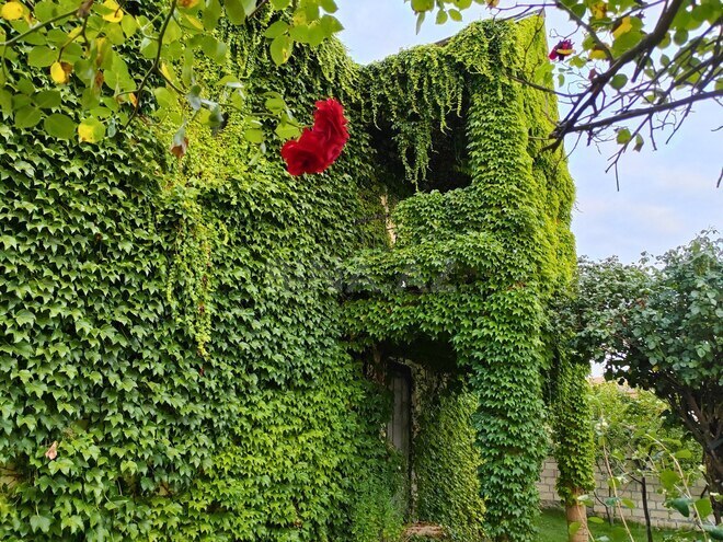 Сдаётся 6-комн. дом/дача 200 м², photo 28 from 32