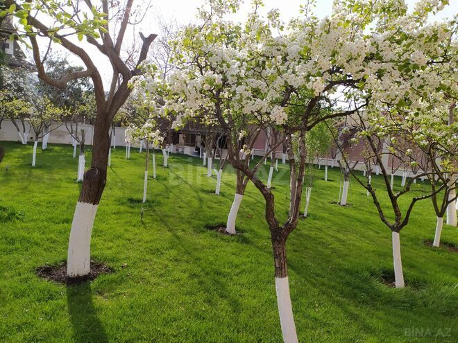 Satılır 6 otaqlı həyət evi/bağ evi 300 m², Novxanı q., photo 14 from 16