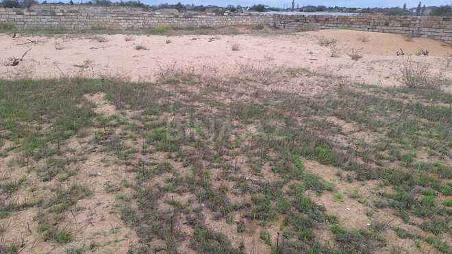 Satılır  torpaq 6 sot, Nardaran q., photo 8 from 11