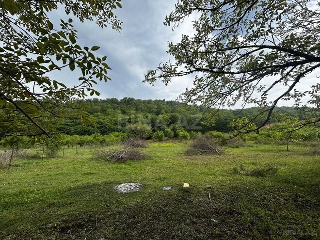 Satılır  torpaq 40 sot, photo 3 from 5