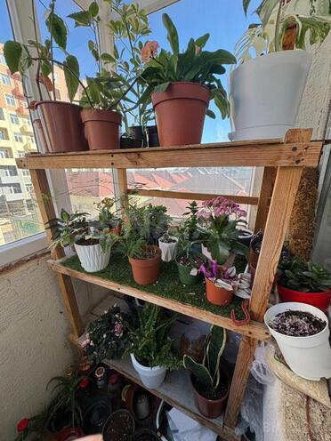 Продаётся 2-комн. новостройка 58 м², пос. Масазыр, photo 11 from 17