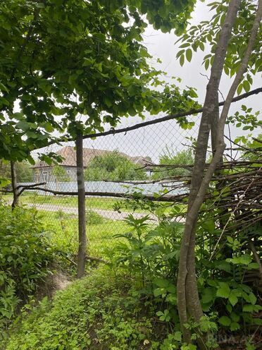 Satılır  torpaq 50 sot, photo 3 from 6